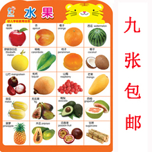 挂图 婴儿幼儿早教启蒙挂图宝宝认知识字挂图识字卡片双面9张包