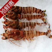 东海红明虾8-10头/500g 江浙皖超速冻 哈鲜食谱生鲜超市