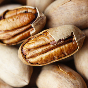  新疆特产 长寿果/碧根果/山核桃/新货 个大 香脆可口 包邮