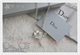全新CD花朵貝殼閃石項鍊附盒子塵袋