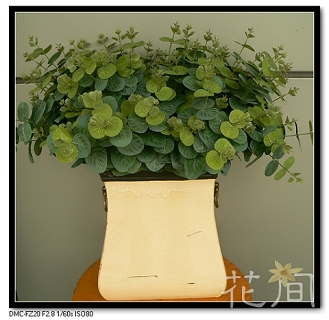 仿真花金钱叶/尤加利/逼真叶子仿真花/假花/假花/装饰花/客厅在类目 鲜花速递/花卉仿真/绿植园艺, 仿真花/绿植/蔬果成品(新), 仿真绿植中 - 来自Buy2taobao.com提供专业的淘宝代购服务