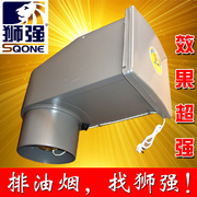 狮强厨房油烟排气扇S1001A家用强力通风换气扇10寸静音吸抽油烟机
