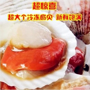 新鲜超大扇贝王 鲜活冷冻烧烤 海鲜水产品火锅食材生鲜贝类肉