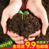 盆栽肥料花卉植物有机育苗基质土 养花土无菌种菜营养土500克