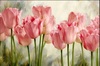 郁金香油画粉红色花卉装饰画，挂画欣美画店，手绘植物田园