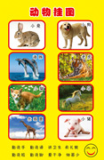 585布贴海报展板印制贴纸，素材499幼儿教学动物挂图