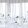 创意悬挂透明玻璃花瓶小吊瓶，简约水培花器室内园艺家居装饰瓶