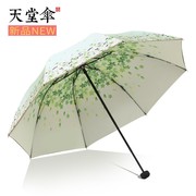 伞小清新黑胶双层防晒太阳伞，防紫外线女遮阳伞，晴雨伞折叠两用绿
