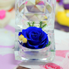 蓝玫瑰保鲜花戒指盒蓝色妖姬永不凋谢的鲜花真花生日礼物永生花