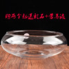 透明玻璃器皿花瓶水仙水培盆，铜钱草碗莲，水培花盆水培植物花瓶鱼缸