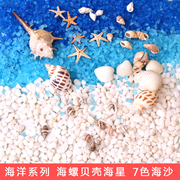 奶油胶diy手机壳材料海沙海星，海螺贝壳手工自制滴胶摆台海洋配件