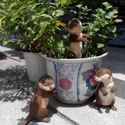 工艺品仿真地鼠彩豚鼠花园摆件 庭院装饰 桌面动物摆件家居饰品
