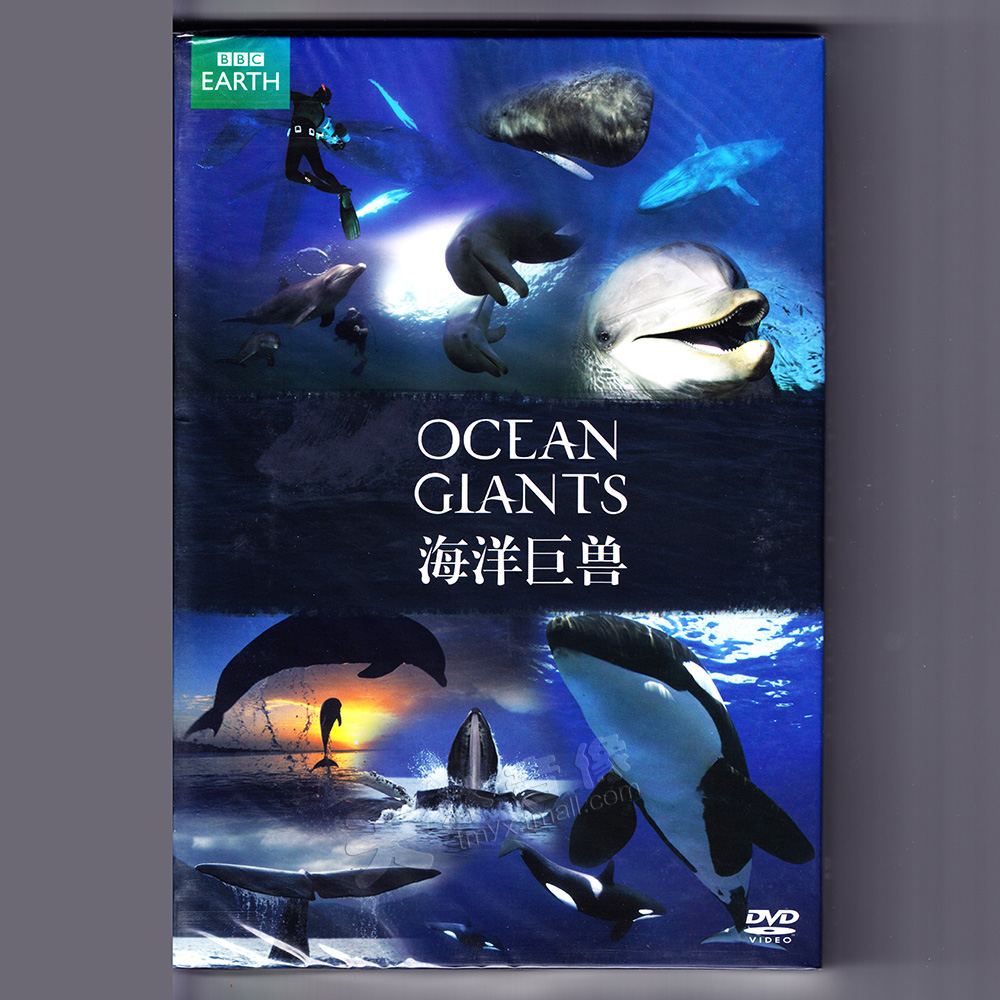 正版BBC纪录片 海洋巨兽 DVD 海洋巨兽的发