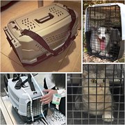 猫笼宠物航空箱宠物托运箱狗猫笼子便携外出空运宠物箱猫咪航空箱