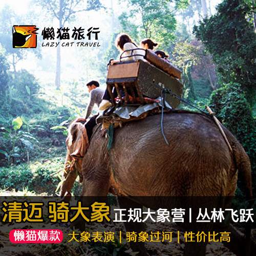 懒猫旅行 清迈骑大象美莎大象营一日游 清迈自由行旅游丛林飞跃