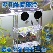 水族箱孵化盒双层自浮式孵化器幼鱼繁殖亚克力，隔离盒斗鱼盒大号