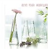 水培花器瓶子创意 玻璃花瓶 透明 水培小吊瓶水培植物容器 插花瓶