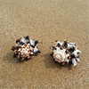 黑白小菊花4-5厘米 天然贝壳海螺婚庆道具地台鱼缸水族装饰地中海