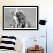 黑白摄影装饰画可爱动物小猫y小狗有框画宠物店壁挂画卧室咖啡厅
