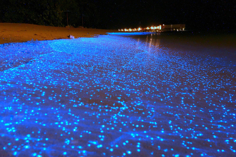 Koh Lipe Lipe Fantasy trip Sea Sunset Nighttime seabed Firefly Blue Tears luminescence flOwin the Holiday Line/Visas send off/Travel services , Play at destination, Overseas Play Packages category - from Buy2taobao.com to provide professional Taobao agent buy service