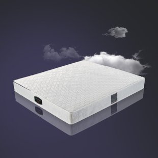 进口乳胶床垫席梦思弹簧床垫1.2 1.5 1.8m天然椰棕垫保健床垫
