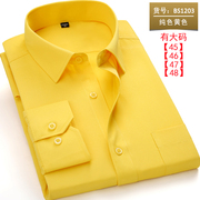 春季长袖衬衫男青年商务，职业工装休闲款纯黄色，衬衣男打底衫工作服