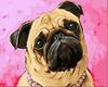 diy数字油画抽象动物填色手工绘油彩装饰画 嘟着嘴的忠诚宠物狗狗