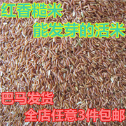巴马特产胚芽红香米能发芽的红糙米细粳米脱壳红米五谷粗粮500克