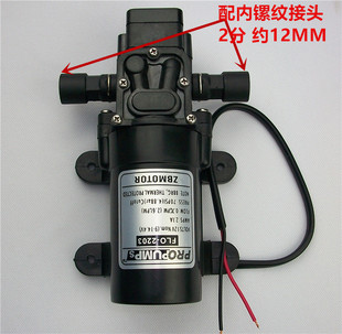 12v自吸泵农用高压隔膜泵直流微型水泵FL-2203-1喷雾器电动水泵