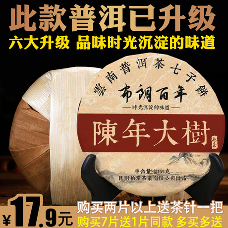 陈香普洱茶
