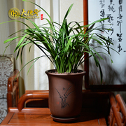 兰花盆紫砂花盆特大号吊兰花盆简约室内复古中国风陶瓷花盆带托盘