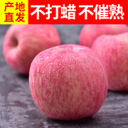 山东烟台苹果水果栖霞红富士新鲜脆甜纯天然孕妇水果80果5斤