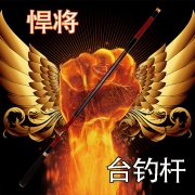 悍将19调钓鱼竿碳素台钓竿，2.7--6.3米超硬战斗竿鲤鱼竿竞技罗非5h