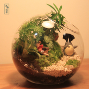 米洛微景 山路龙猫 苔藓微景观 生态瓶创意迷你植物办公室内盆景