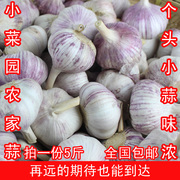 干大蒜小蒜头新蒜山东干蒜5斤装低价紫白皮大蒜种子