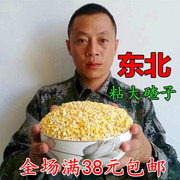 东北特产粘大碴子玉米碴子杂粮农家自产粘苞米碴子玉米粒250克