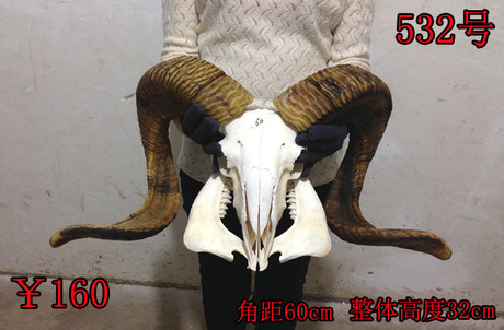 羊头工艺品