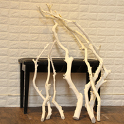 自然枯树造型枯枝白树枝(白树枝)树杈干室内树枝摆放装饰北欧橱窗龙骨树杆