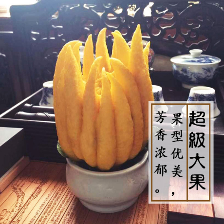 金华佛手