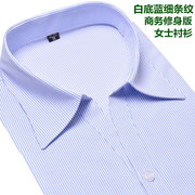 夏季女士白底蓝色细条纹短袖衬衫V领修身职业装银行工装半袖衬衣