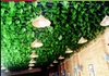 仿真大葡萄藤叶子花(叶子花)藤绿藤假蔓植物树叶塑料藤条绿叶吊顶屋顶装饰