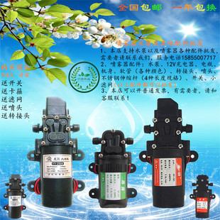 12v水泵电动喷雾器，隔膜泵微型洗车水泵家用220v高压自吸泵