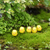 小黄鸡苔藓微景观diy素材，生态瓶水陆缸，造景多肉盆栽摆件卡通饰品