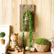 生活木板壁挂玻璃花瓶 悬挂透明水培花器 麻绳垂吊挂式花盆
