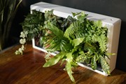 印象花坊植物墙框室内悬挂式立体绿化创意绿植墙花卉组合盆栽