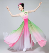 古典舞演出服练功服女飘逸中国风刺绣出水莲舞蹈服扇子舞表演服装