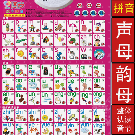 幼儿发声挂图