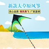 潍坊风筝大草原风筝，大型伞布三角风筝基林，专利微风好飞
