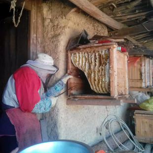 土蜂蜜纯天然农家，自产中蜂蜜，限量9月份