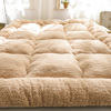 秋冬季加厚保暖羊羔绒床垫，软垫家用1.5m床1.8x2米褥子榻榻米垫褥